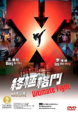 终极格斗（ ）
