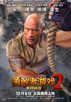 勇敢者游戏2：再战巅峰（ ）