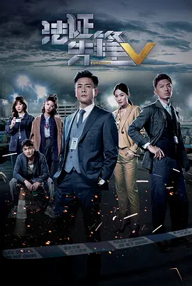 法证先锋5（ ）