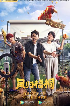 凤归梧桐（ ）