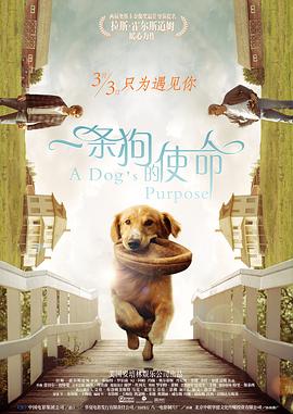 一条狗的使命（ ）