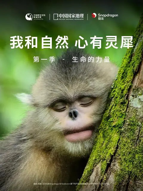 我和自然 心有灵犀第一季