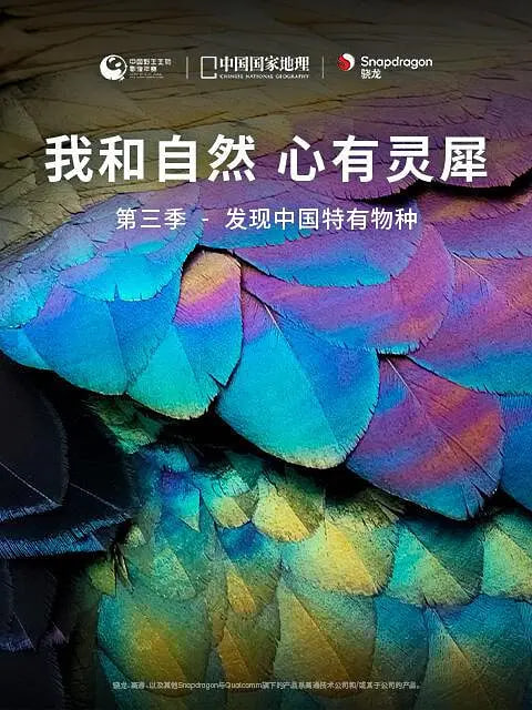 我和自然 心有灵犀第三季